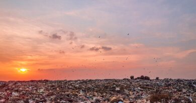 L’Afrique centrale est-elle un modèle à suivre en termes de développement durable dans le traitement des déchets textiles ?